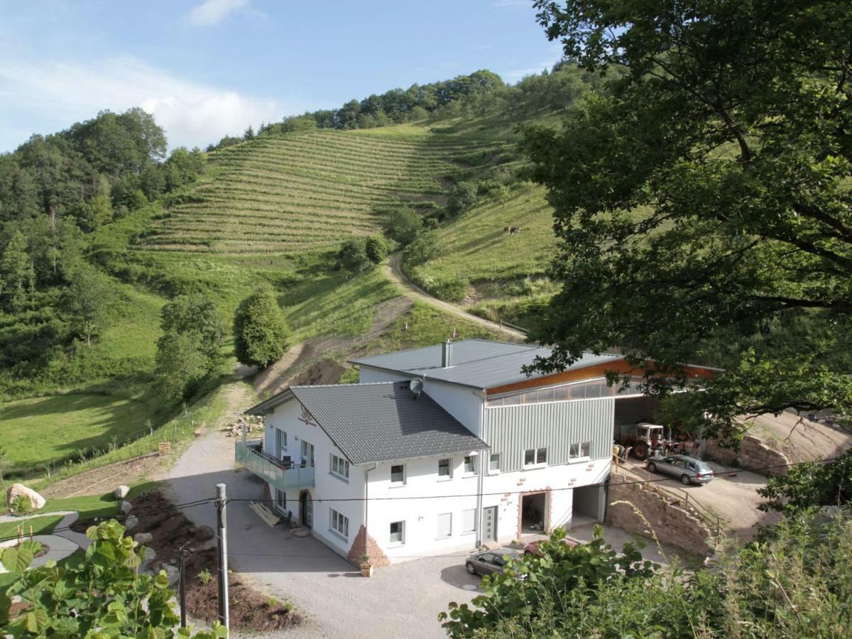 Ferienwohnungen Giedensbach Oberkirch  Dış mekan fotoğraf